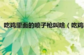 吃鸡里面的喷子枪叫啥（吃鸡喷子是什么枪相关内容简介介绍）