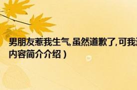 男朋友惹我生气,虽然道歉了,可我还是生气（惹男朋友生气了道歉的话相关内容简介介绍）