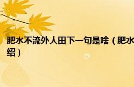 肥水不流外人田下一句是啥（肥水不流外人田上一句是什么相关内容简介介绍）