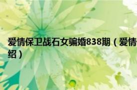 爱情保卫战石女骗婚838期（爱情保卫战石女骗婚是哪一期相关内容简介介绍）