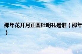 那年花开月正圆杜明礼是谁（那年花开月正圆杜明礼结局相关内容简介介绍）