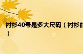 衬衫40号是多大尺码（衬衫的尺码40是多大码相关内容简介介绍）