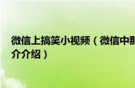 微信上搞笑小视频（微信中那种恶搞的小视频怎么弄相关内容简介介绍）