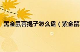 黑金鼠菩提子怎么盘（紫金鼠菩提子怎么盘相关内容简介介绍）