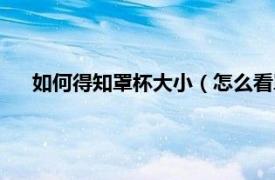 如何得知罩杯大小（怎么看罩杯的大小相关内容简介介绍）