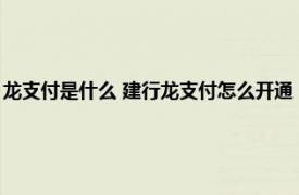 龙支付是什么 建行龙支付怎么开通（建行龙支付是什么相关内容简介介绍）