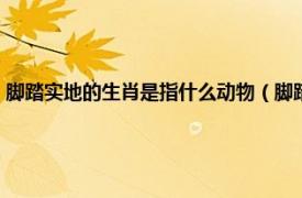 脚踏实地的生肖是指什么动物（脚踏实地代表什么生肖相关内容简介介绍）