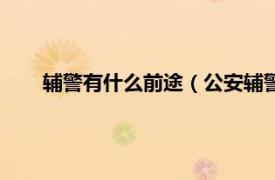 辅警有什么前途（公安辅警有前途吗相关内容简介介绍）