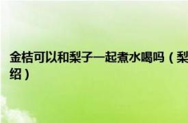 金桔可以和梨子一起煮水喝吗（梨和金桔可以一起煮水喝吗相关内容简介介绍）