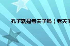 孔子就是老夫子吗（老夫子是孔子吗相关内容简介介绍）