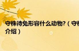 守株待兔形容什么动物?（守株待兔指的是什么动物相关内容简介介绍）