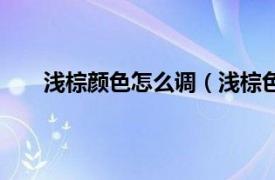 浅棕颜色怎么调（浅棕色怎么调相关内容简介介绍）