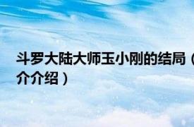 斗罗大陆大师玉小刚的结局（斗罗大陆玉小刚的结局相关内容简介介绍）