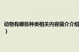 动物有哪些种类相关内容简介介绍图片（动物有哪些种类相关内容简介介绍）