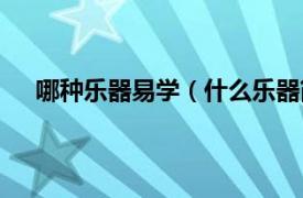 哪种乐器易学（什么乐器简单易学相关内容简介介绍）