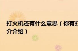 打火机还有什么意思（你有打火机吗什么意思什么梗相关内容简介介绍）