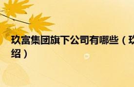 玖富集团旗下公司有哪些（玖富集团是合法的吗相关内容简介介绍）