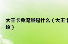 大王卡免流量是什么（大王卡看哪些是免流量的相关内容简介介绍）