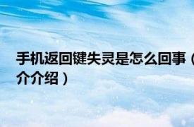 手机返回键失灵是怎么回事（手机返回键失灵怎么办相关内容简介介绍）