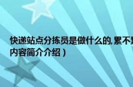 快递站点分拣员是做什么的,累不累（快递分拣员累不累主要是干什么相关内容简介介绍）