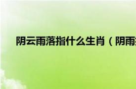 阴云雨落指什么生肖（阴雨指什么生肖相关内容简介介绍）