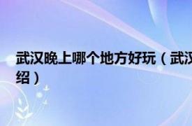 武汉晚上哪个地方好玩（武汉晚上哪里比较好玩相关内容简介介绍）