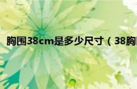 胸围38cm是多少尺寸（38胸围是多少厘米相关内容简介介绍）