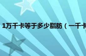 1万千卡等于多少脂肪（一千卡等于多少脂肪相关内容简介介绍）