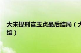 大宋提刑官玉贞最后结局（大宋提刑官瑛姑结局相关内容简介介绍）