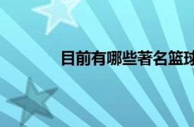 目前有哪些著名篮球明星的相关内容介绍？