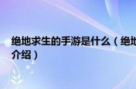 绝地求生的手游是什么（绝地求生手游叫什么名字相关内容简介介绍）