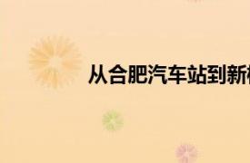 从合肥汽车站到新桥机场需要多长时间？