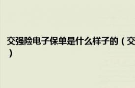 交强险电子保单是什么样子的（交强险电子保单有标志吗相关内容简介介绍）