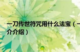 一刀传世符咒用什么法宝（一刀传世符咒带什么法宝相关内容简介介绍）