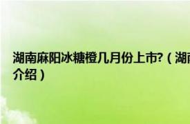 湖南麻阳冰糖橙几月份上市?（湖南麻阳冰糖橙什么时候上市相关内容简介介绍）