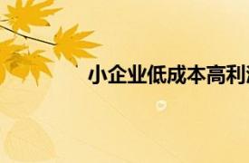 小企业低成本高利润的相关内容有哪些？