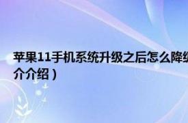 苹果11手机系统升级之后怎么降级（苹果手机11怎么降级系统相关内容简介介绍）