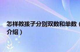 怎样教孩子分别双数和单数（双数单数怎么教孩子相关内容简介介绍）