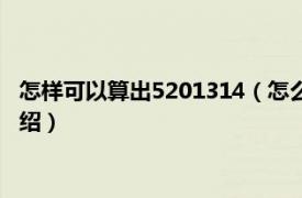 怎样可以算出5201314（怎么才能算出5201314相关内容简介介绍）