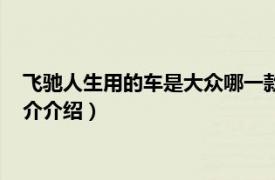 飞驰人生用的车是大众哪一款（飞驰人生用的什么车相关内容简介介绍）