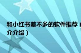 和小红书差不多的软件推荐（小红书和哪个软件相似相关内容简介介绍）