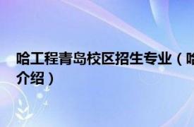 哈工程青岛校区招生专业（哈工程青岛校区是几本相关内容简介介绍）