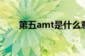 第五amt是什么意思？相关内容介绍