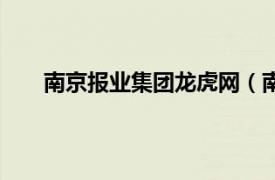 南京报业集团龙虎网（南京报业集团有限责任公司）