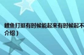 鲤鱼打挺有时候能起来有时候起不来（为什么鲤鱼打挺起不来相关内容简介介绍）