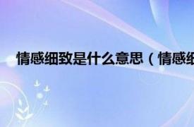 情感细致是什么意思（情感细腻什么意思相关内容简介介绍）