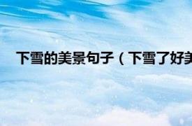 下雪的美景句子（下雪了好美的雪景说说相关内容简介介绍）