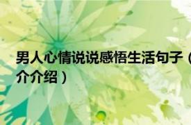 男人心情说说感悟生活句子（男人感慨句子说说心情相关内容简介介绍）