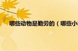 哪些动物是勤劳的（哪些小动物很勤劳相关内容简介介绍）