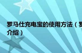 罗马仕充电宝的使用方法（罗马仕充电宝使用技巧相关内容简介介绍）